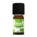 Ciste Ladanifère Bio Huile Essentielle