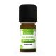Encens Oliban Huile Essentielle