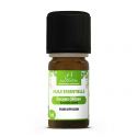 Encens Oliban Huile Essentielle