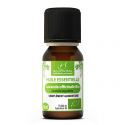 Eucalyptus Officinal Bio Huile Essentielle