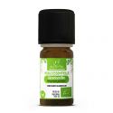 Géranium Bio Huile Essentielle