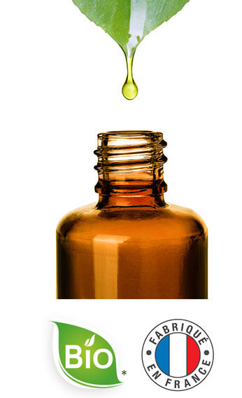 Neutralisateur d'odeurs Refrig 'Air Pur - 70 g aux huiles essentielles BIO  Contrôlé Parfum d'ambiance par Ecocert - MAËLLYA